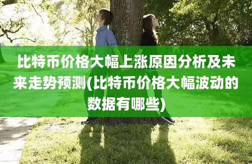 比特币价格大幅上涨原因分析及未来走势预测(比特币价格大幅波动的数据有哪些)