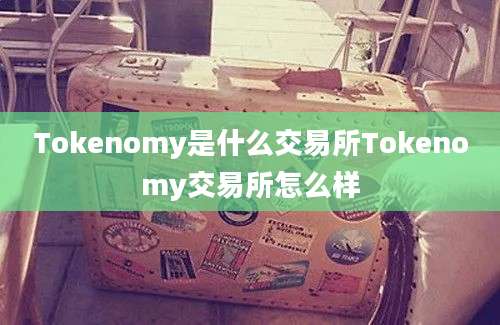 Tokenomy是什么交易所Tokenomy交易所怎么样