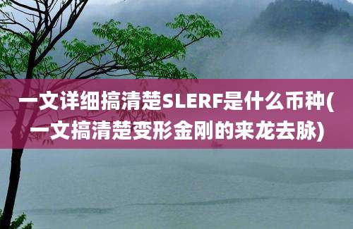 一文详细搞清楚SLERF是什么币种(一文搞清楚变形金刚的来龙去脉)