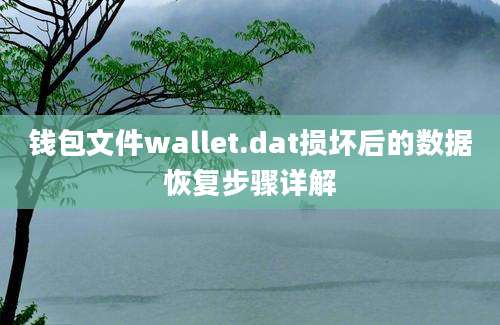 钱包文件wallet.dat损坏后的数据恢复步骤详解