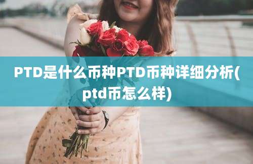 PTD是什么币种PTD币种详细分析(ptd币怎么样)