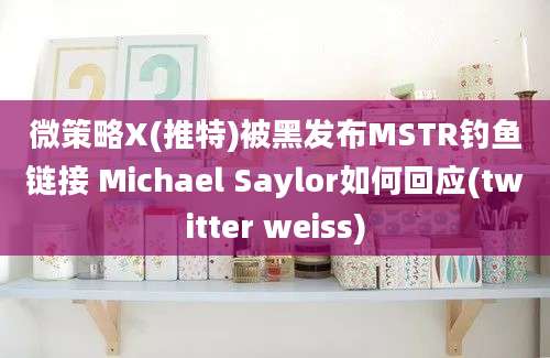 微策略X(推特)被黑发布MSTR钓鱼链接 Michael Saylor如何回应(twitter weiss)