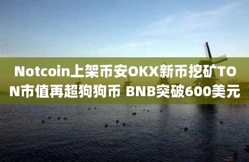 Notcoin上架币安OKX新币挖矿TON市值再超狗狗币 BNB突破600美元