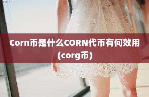 Corn币是什么CORN代币有何效用(corg币)