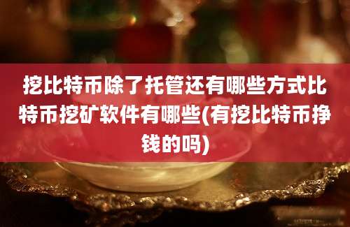 挖比特币除了托管还有哪些方式比特币挖矿软件有哪些(有挖比特币挣钱的吗)