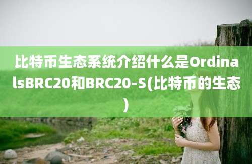 比特币生态系统介绍什么是OrdinalsBRC20和BRC20-S(比特币的生态)