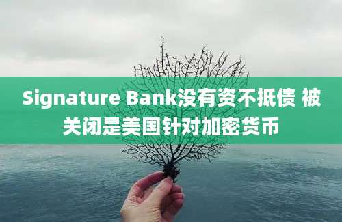 Signature Bank没有资不抵债 被关闭是美国针对加密货币