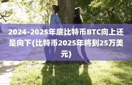 2024-2025年底比特币BTC向上还是向下(比特币2025年将到25万美元)