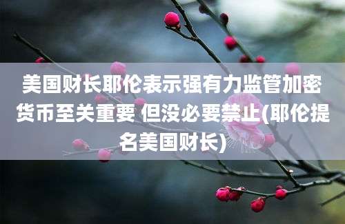 美国财长耶伦表示强有力监管加密货币至关重要 但没必要禁止(耶伦提名美国财长)