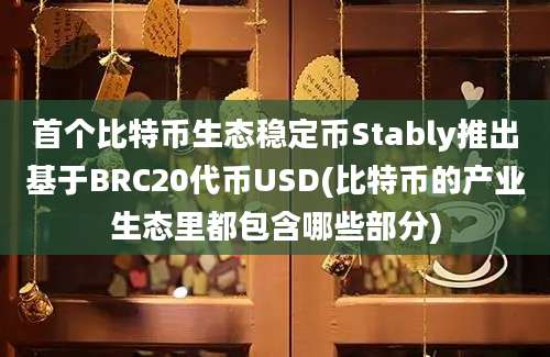 首个比特币生态稳定币Stably推出基于BRC20代币USD(比特币的产业生态里都包含哪些部分)