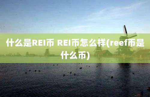 什么是REI币 REI币怎么样(reef币是什么币)