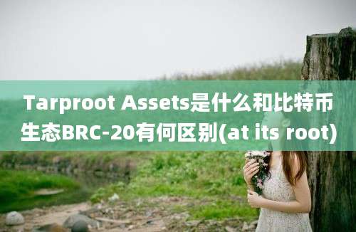 Tarproot Assets是什么和比特币生态BRC-20有何区别(at its root)