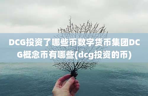 DCG投资了哪些币数字货币集团DCG概念币有哪些(dcg投资的币)