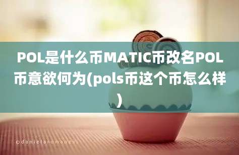 POL是什么币MATIC币改名POL币意欲何为(pols币这个币怎么样)