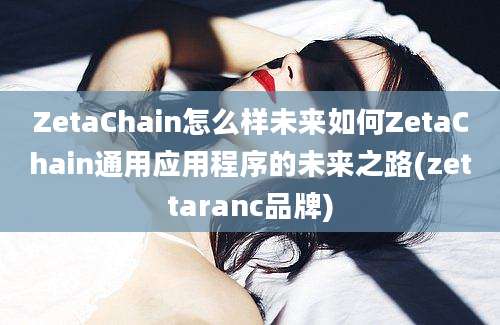 ZetaChain怎么样未来如何ZetaChain通用应用程序的未来之路(zettaranc品牌)