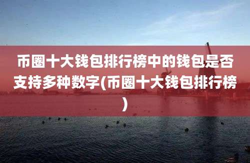 币圈十大钱包排行榜中的钱包是否支持多种数字(币圈十大钱包排行榜)