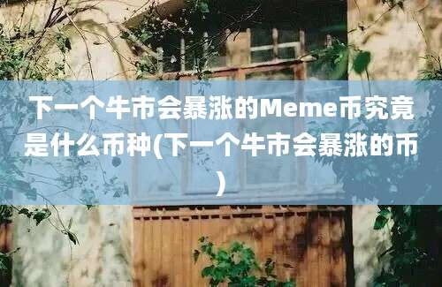 下一个牛市会暴涨的Meme币究竟是什么币种(下一个牛市会暴涨的币)