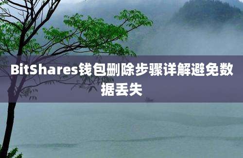 BitShares钱包删除步骤详解避免数据丢失