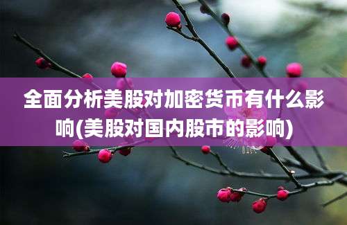 全面分析美股对加密货币有什么影响(美股对国内股市的影响)