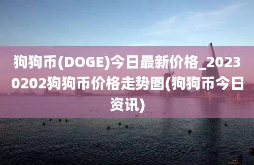 狗狗币(DOGE)今日最新价格_20230202狗狗币价格走势图(狗狗币今日资讯)