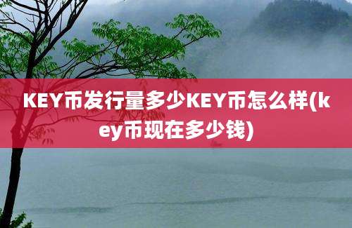 KEY币发行量多少KEY币怎么样(key币现在多少钱)