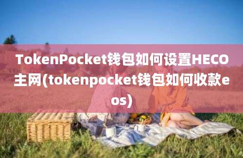 TokenPocket钱包如何设置HECO主网(tokenpocket钱包如何收款eos)