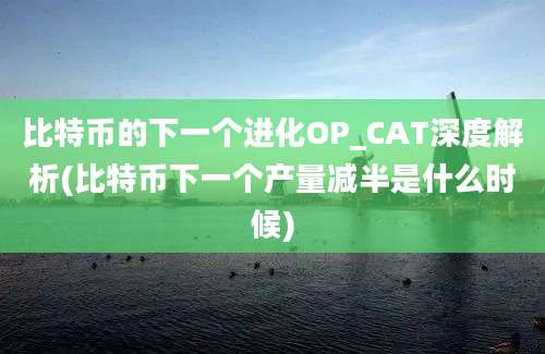 比特币的下一个进化OP_CAT深度解析(比特币下一个产量减半是什么时候)