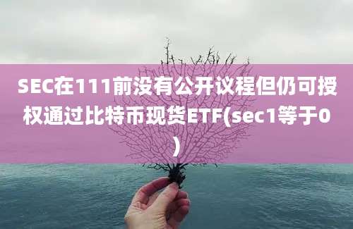 SEC在111前没有公开议程但仍可授权通过比特币现货ETF(sec1等于0)