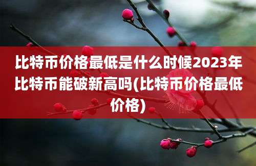 比特币价格最低是什么时候2023年比特币能破新高吗(比特币价格最低价格)