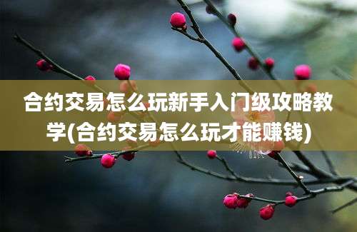 合约交易怎么玩新手入门级攻略教学(合约交易怎么玩才能赚钱)