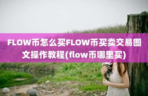 FLOW币怎么买FLOW币买卖交易图文操作教程(flow币哪里买)