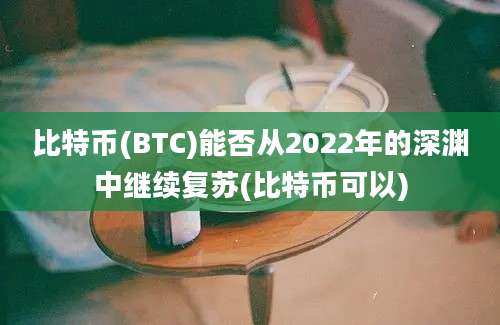 比特币(BTC)能否从2022年的深渊中继续复苏(比特币可以)