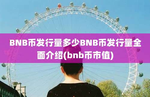 BNB币发行量多少BNB币发行量全面介绍(bnb币市值)