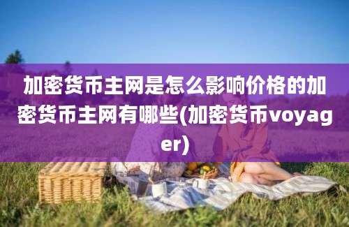 加密货币主网是怎么影响价格的加密货币主网有哪些(加密货币voyager)