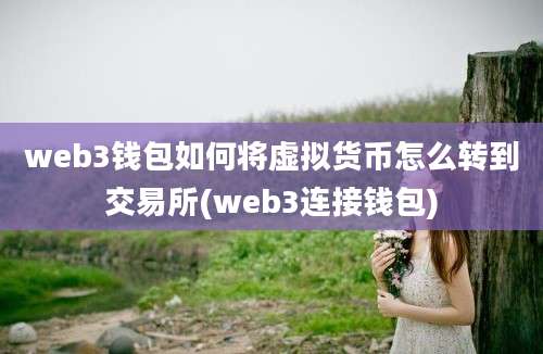 web3钱包如何将虚拟货币怎么转到交易所(web3连接钱包)