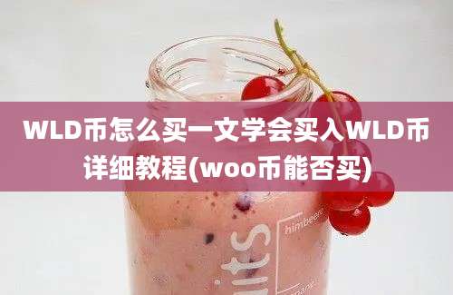 WLD币怎么买一文学会买入WLD币详细教程(woo币能否买)