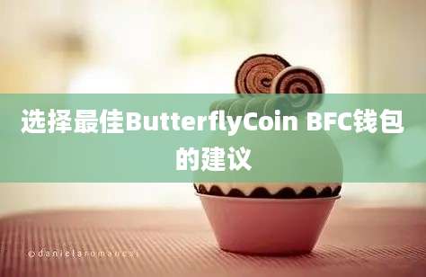 选择最佳ButterflyCoin BFC钱包的建议