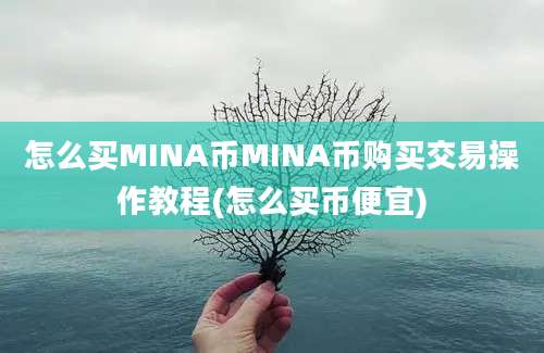 怎么买MINA币MINA币购买交易操作教程(怎么买币便宜)