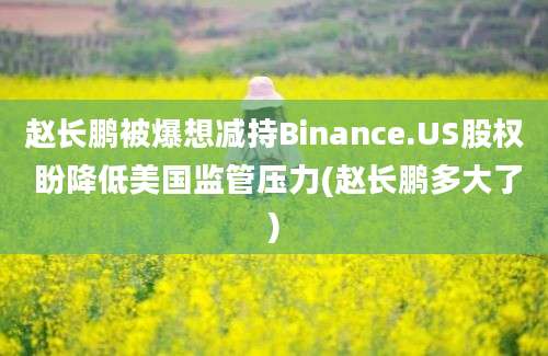 赵长鹏被爆想减持Binance.US股权 盼降低美国监管压力(赵长鹏多大了)