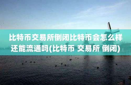 比特币交易所倒闭比特币会怎么样还能流通吗(比特币 交易所 倒闭)