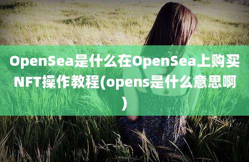 OpenSea是什么在OpenSea上购买NFT操作教程(opens是什么意思啊)