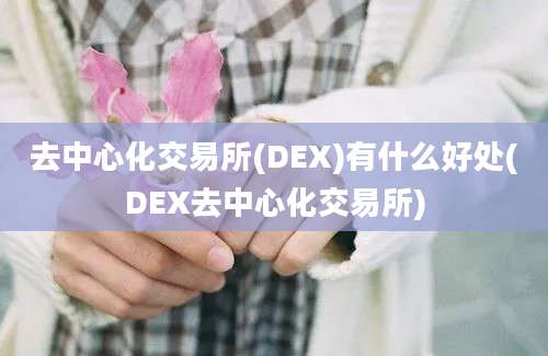 去中心化交易所(DEX)有什么好处(DEX去中心化交易所)