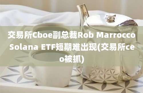 交易所Cboe副总裁Rob MarroccoSolana ETF短期难出现(交易所ceo被抓)