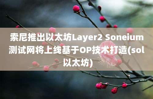 索尼推出以太坊Layer2 Soneium测试网将上线基于OP技术打造(sol 以太坊)