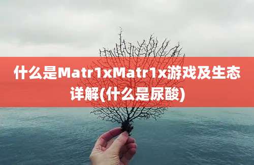 什么是Matr1xMatr1x游戏及生态详解(什么是尿酸)