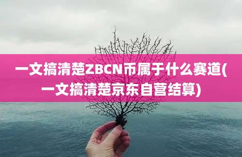 一文搞清楚ZBCN币属于什么赛道(一文搞清楚京东自营结算)