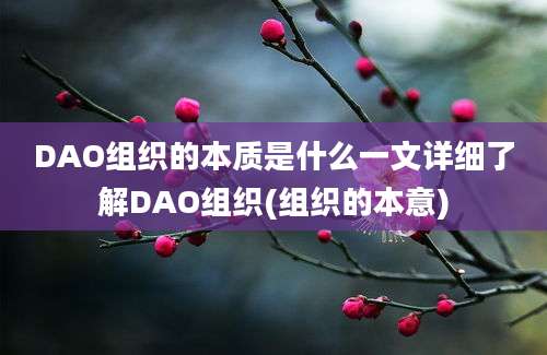 DAO组织的本质是什么一文详细了解DAO组织(组织的本意)