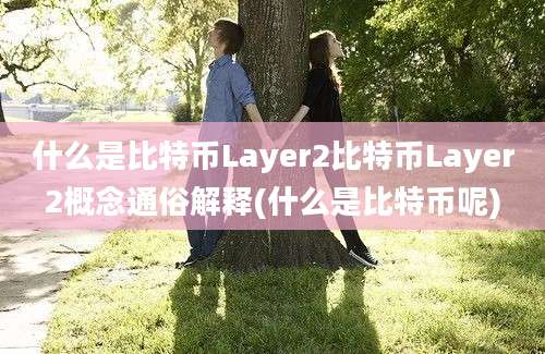 什么是比特币Layer2比特币Layer2概念通俗解释(什么是比特币呢)