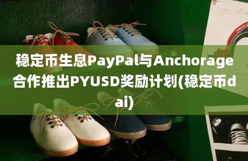 稳定币生息PayPal与Anchorage合作推出PYUSD奖励计划(稳定币dai)