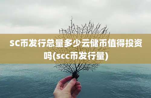 SC币发行总量多少云储币值得投资吗(scc币发行量)